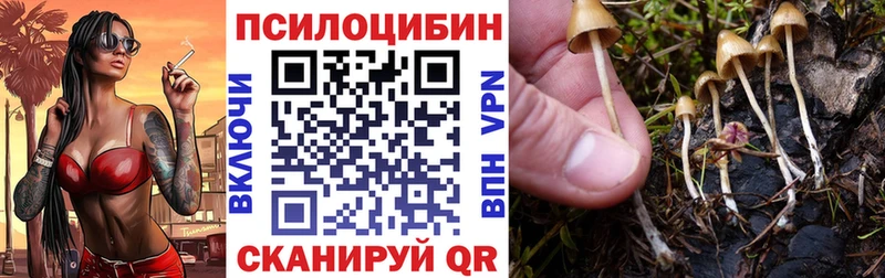 Псилоцибиновые грибы прущие грибы  Светлогорск 